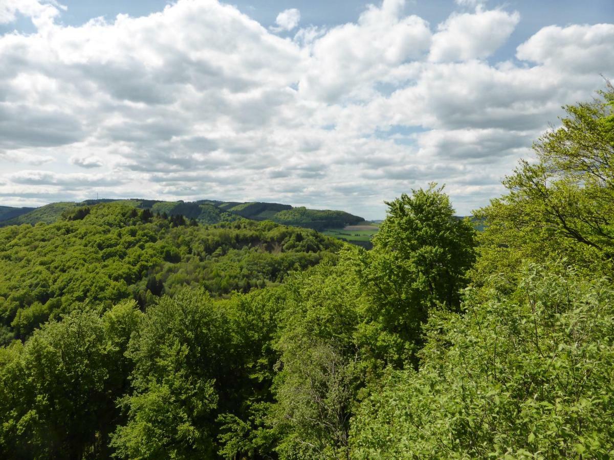 Das Nest Winterberg Exterior photo