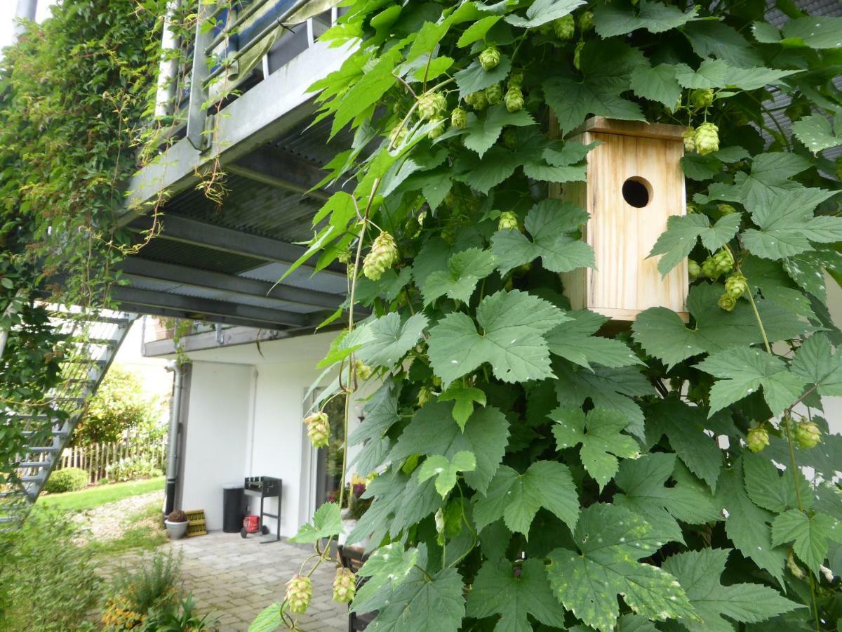 Das Nest Winterberg Exterior photo